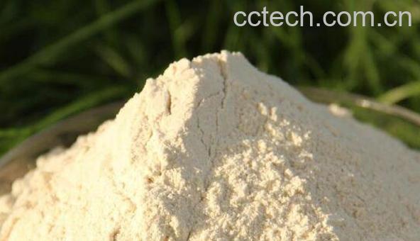 苦荞面粉的功效与作用-1