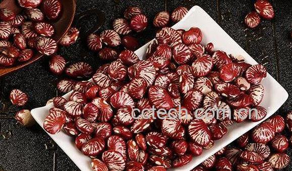 云南肾豆的功效与作用-1