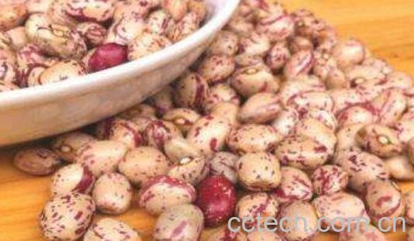 云南肾豆的功效与作用-0