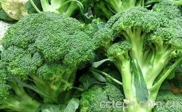 西兰花的功效与作用 吃西兰花的好处-0