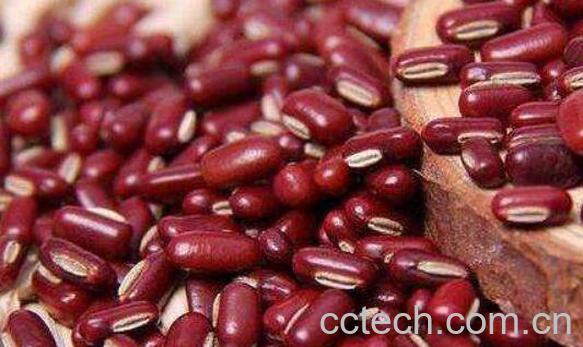 赤小豆的功效与作用 赤小豆怎么煮容易烂-0