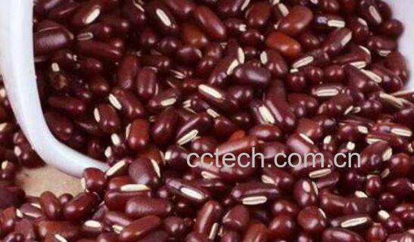 赤小豆的功效与作用 赤小豆怎么煮容易烂-1