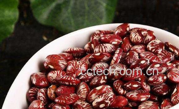 肾豆怎么吃 肾豆不能与什么一起吃-0