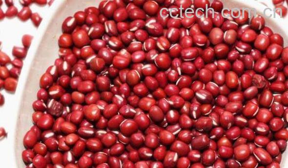 红小豆的功效与作用 吃红小豆的好处-0