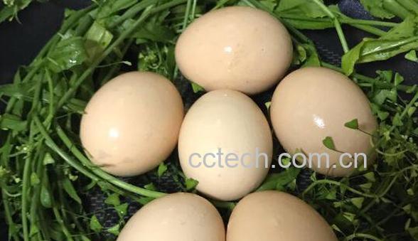  煮鸡蛋要多久才能熟 煮鸡蛋用开水还是冷水-1
