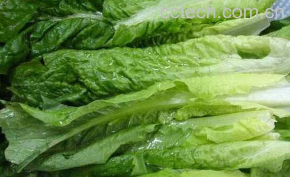 莴笋叶可以吃吗 莴笋叶怎么吃-0