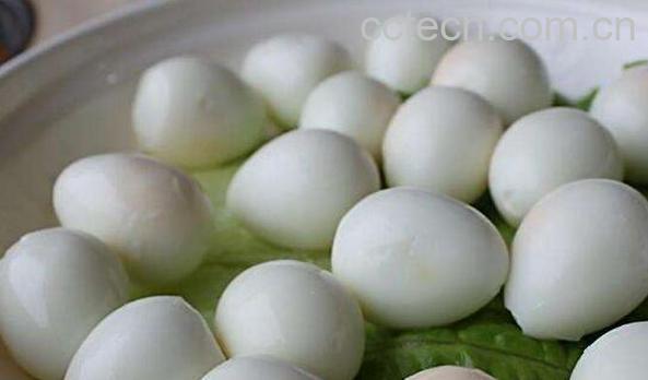 鹌鹑蛋的功效与作用 鹌鹑蛋的营养价值-1