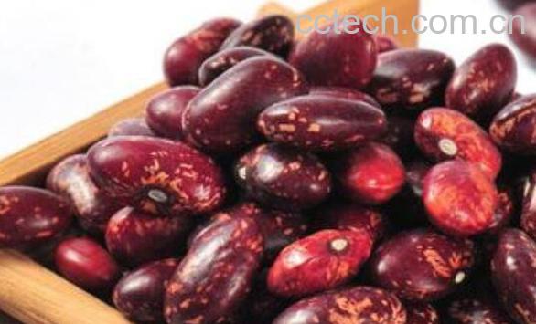 白芸豆和红芸豆的区别 芸豆怎么吃最好-0