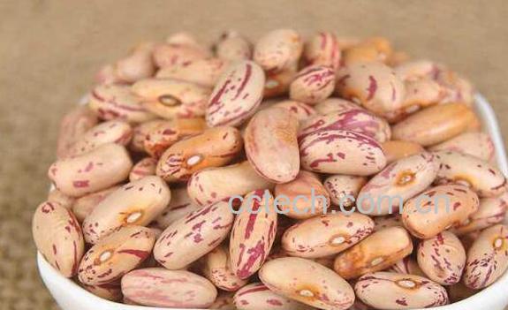 白芸豆和红芸豆的区别 芸豆怎么吃最好-1