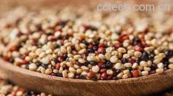藜麦的营养价值及功效-1