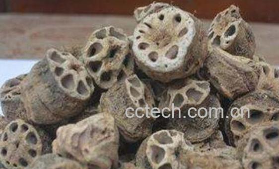 藕节煮水的功效与作用-0