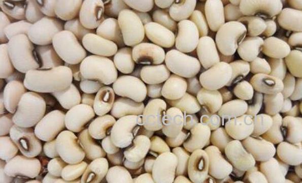  眉豆的功效与作用-1