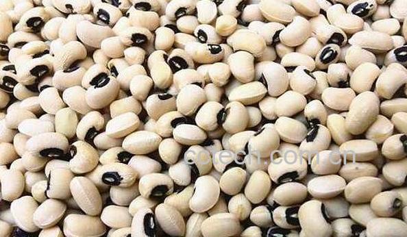  眉豆的功效与作用-0