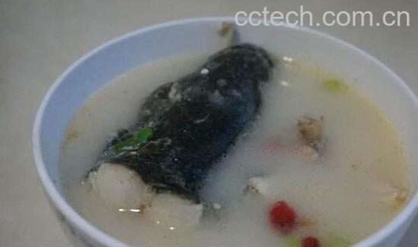 黑鱼汤的功效与作用-1