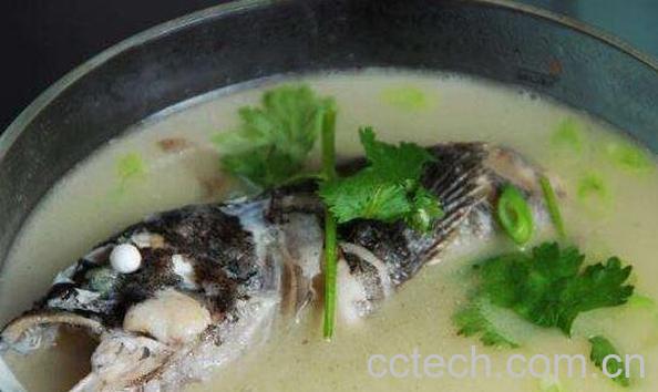 黑鱼汤的功效与作用-0