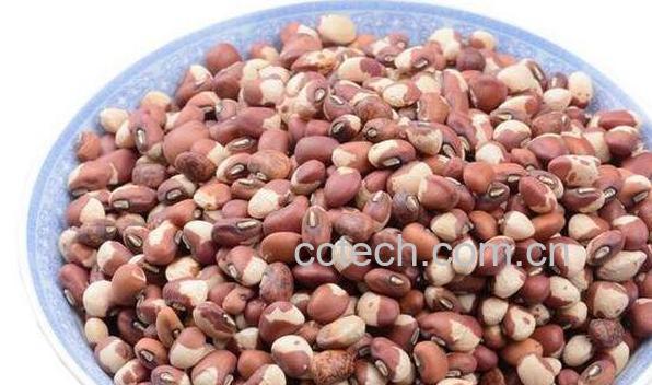 江豆的功效与作用及禁忌-0