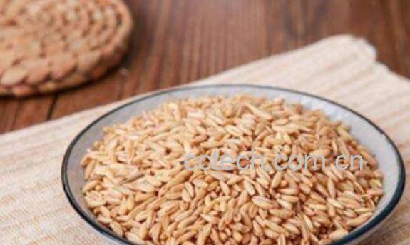 什么是皮燕麦 皮燕麦的功效与作用-1