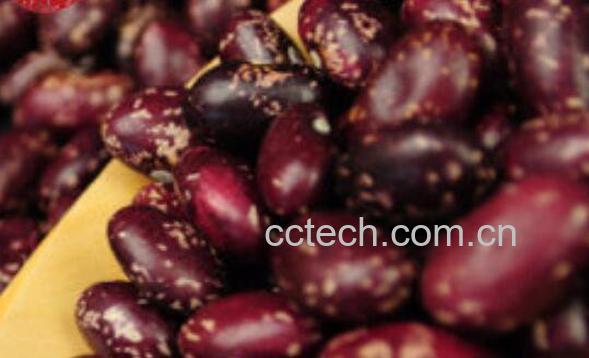 金丝豆的功效与作用-1