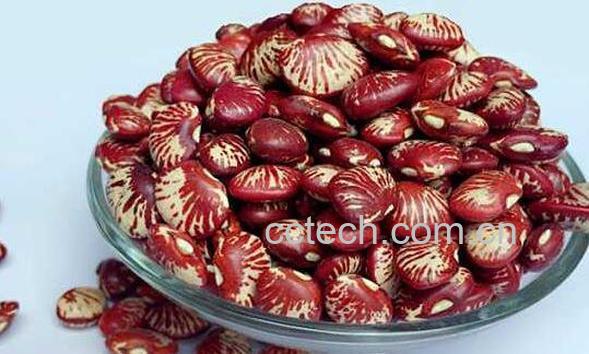 花芸豆的功效与作用-1