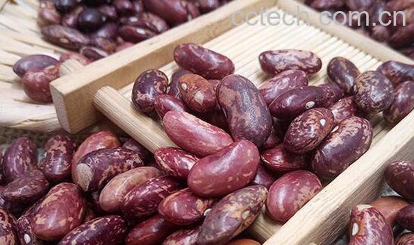 花芸豆的功效与作用-0