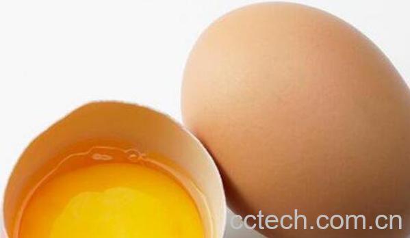 鸡蛋的营养价值 鸡蛋的功效与作用-1