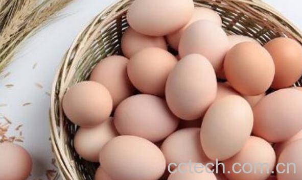 鸡蛋的营养价值 鸡蛋的功效与作用-0