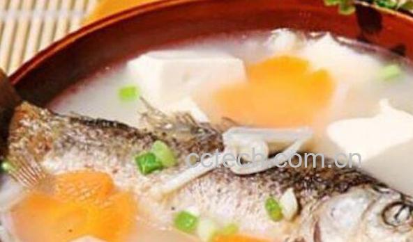 鲫鱼汤的功效与作用及做法-0
