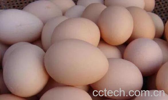 土鸡蛋的营养价值 吃土鸡蛋的功效与作用-1