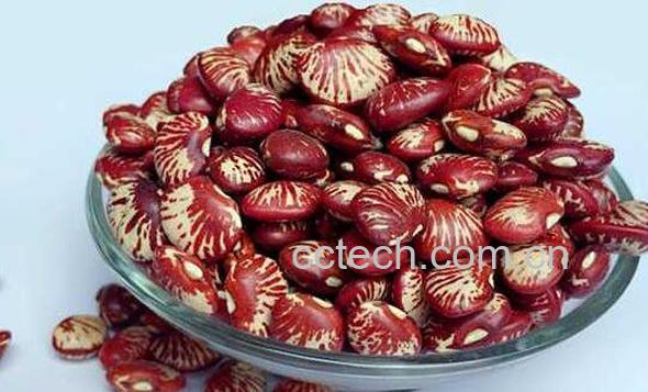 花豆的功效与作用-0