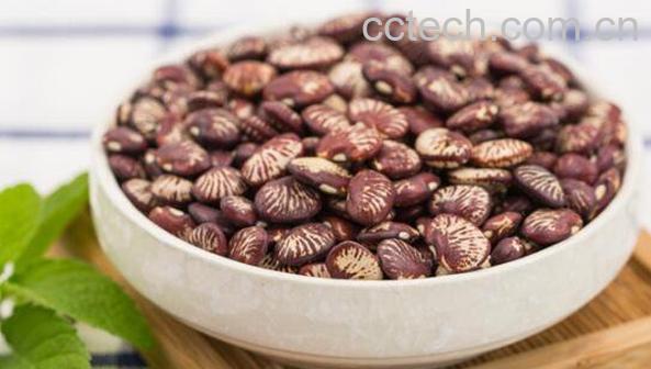 补肾豆的功效与作用-1