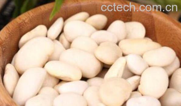 白云豆的功效和作用-0