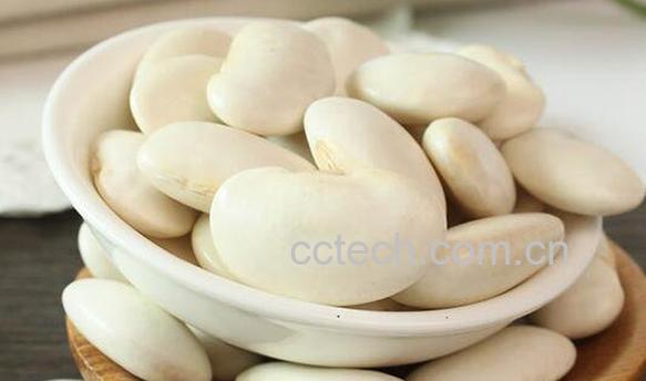 白云豆的功效和作用-1