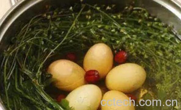 艾叶煮鸡蛋怎么煮 艾叶煮鸡蛋的功效与作用-0