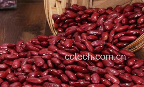 红腰豆的功效与作用-0