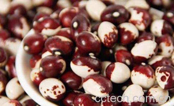 猫眼豆的功效与作用-0