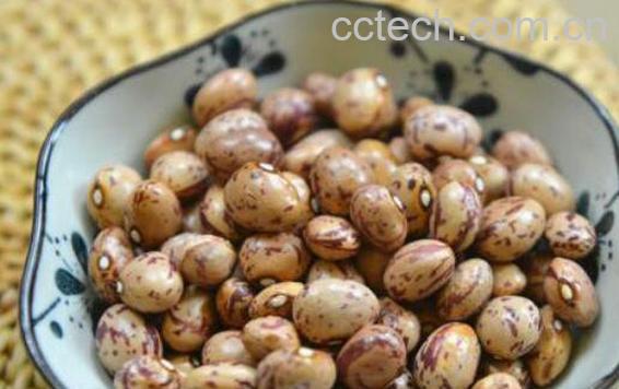 雀蛋豆的功效与作用 雀蛋豆怎么吃好-1