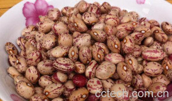 肾豆的功效与作用-0