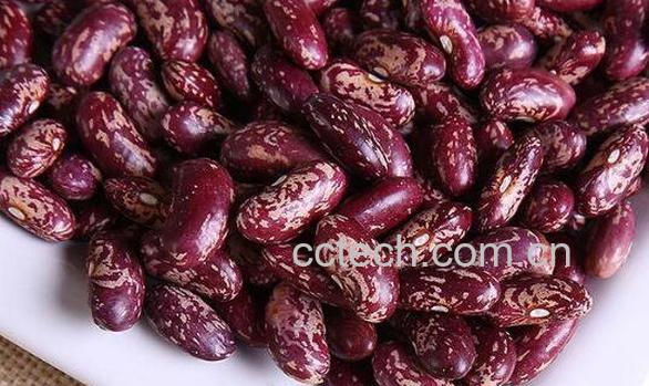 红芸豆和红腰豆的区别-1