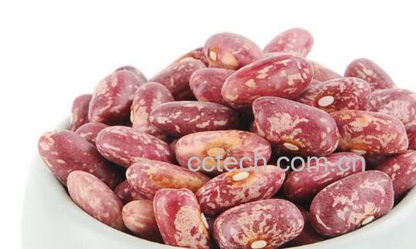 红芸豆和红腰豆的区别-0