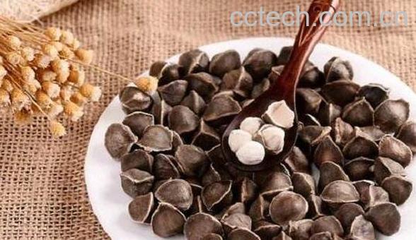 辣木籽的功效与作用及食用方法-0