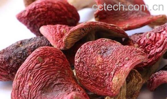 红菇不能和什么一起吃 红菇和什么一起吃最好-0