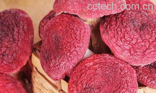 红菇不能和什么一起吃 红菇和什么一起吃最好-1