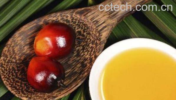 食用棕桐油的危害都有哪些 哪些人不能吃棕榈油-0