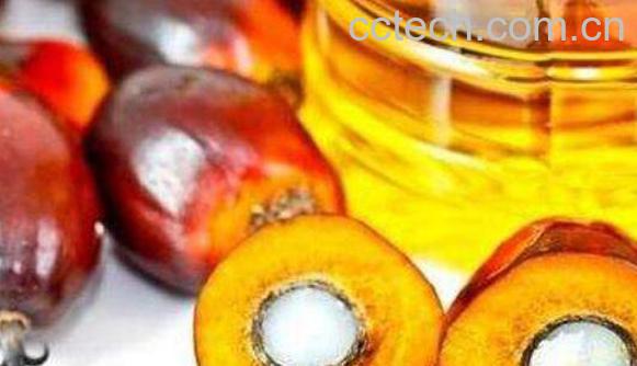 食用棕桐油的危害都有哪些 哪些人不能吃棕榈油-1