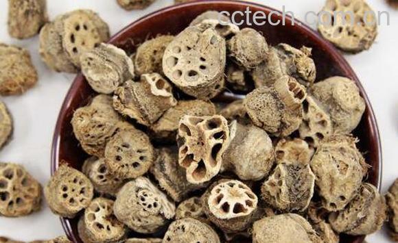 藕节的功效与作用 藕节的食用方法-0