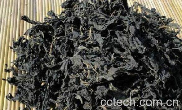 干芝麻叶怎么吃好吃 干芝麻叶的吃法-0