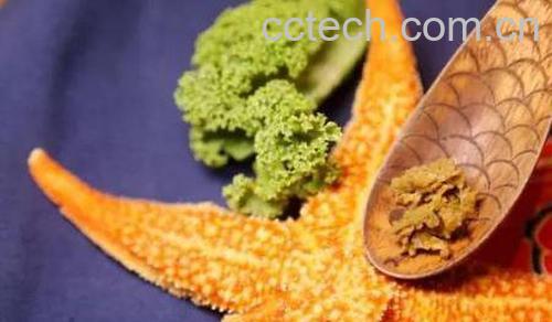 干海星怎么吃 干海星的功效与作用-1