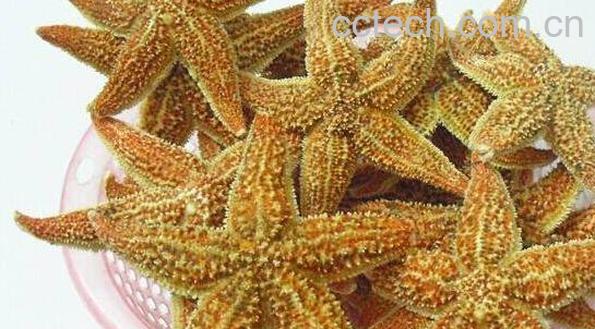 干海星怎么煲汤 干海星放什么一起煲汤-0