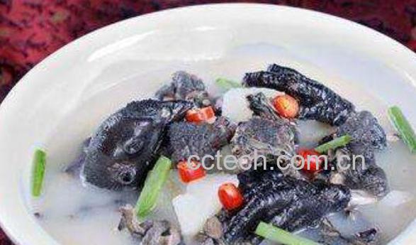 乌鸡的功效作用及禁忌-1