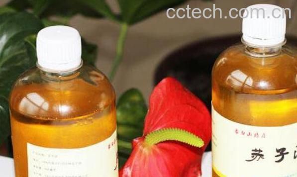 苏子油的功效与作用-1